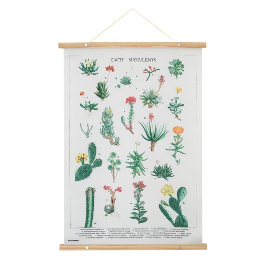 Banderola de Madeira – Botanical Cacti