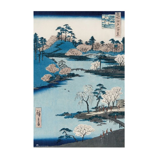 Poster Cherry Blossom Hachiman Shrine