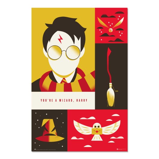 Poster Harry Potter 100 Aniversário WB