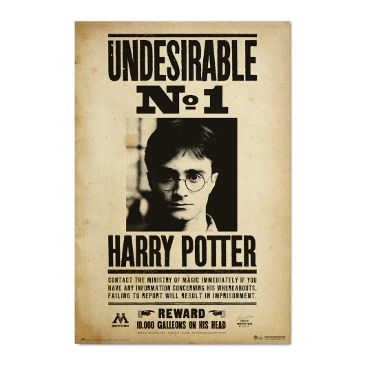 Poster Harry Potter Indesejável N1