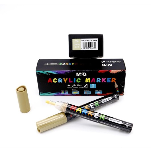 Set de Marcadores de Pintura Acrílica Bege 24