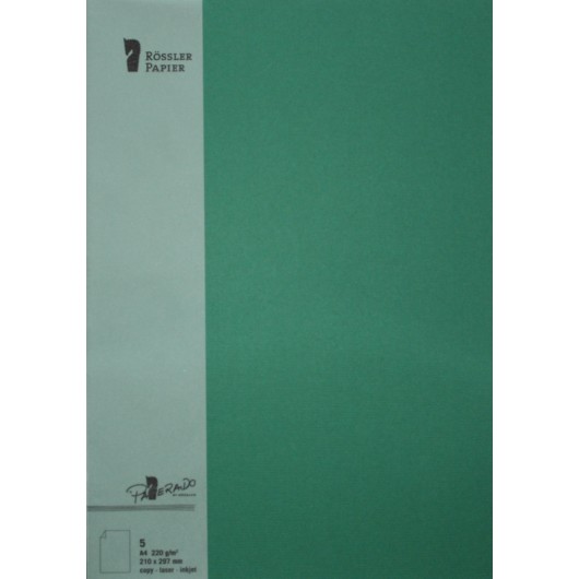 Tarjeta A4 Paperado Verde Acebo – 5 Unidades
